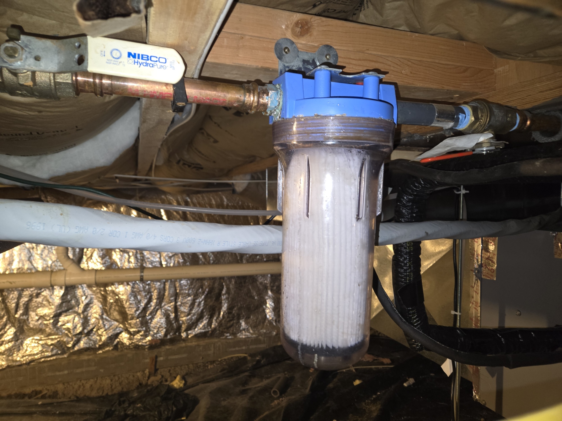 Whole-house water filter on the main water line
